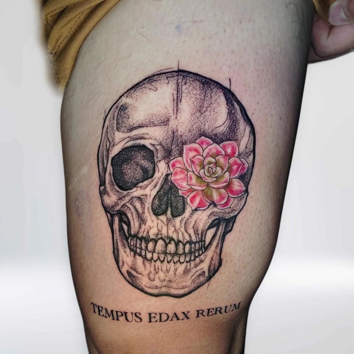 Fine Line Blackwork & Micro-Realism tattoo by Mayra at Baroness Tattoo, Garland TX