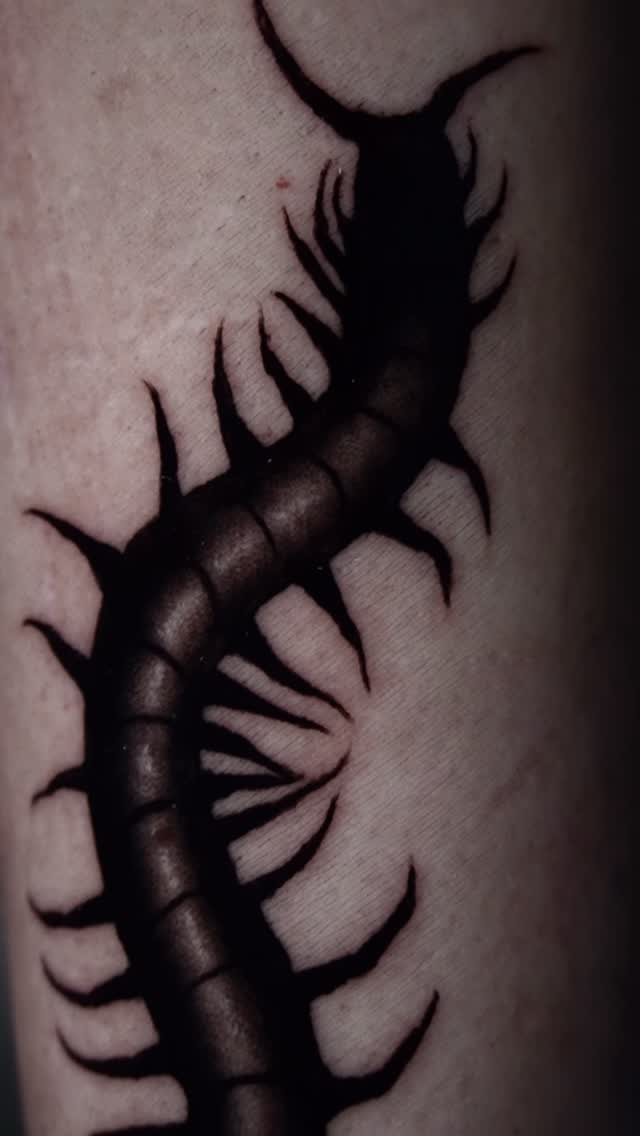 Dark Ornamental & Blackwork tattoo by Caroline at Baroness Tattoo, Garland TX
