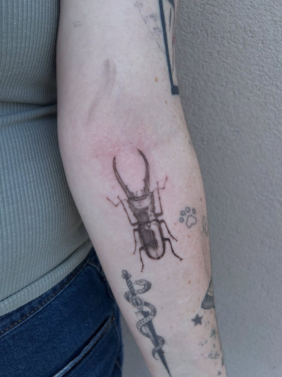 Medieval Etching & Curiosities tattoo by Mikey at Baroness Tattoo, Garland TX